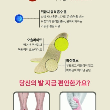 벨리코 즉석 맞춤 교정구 인솔을 소개합니다.